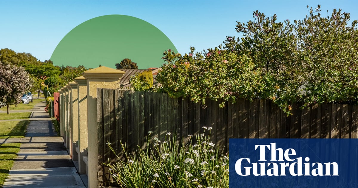 Don’t stop be-leafin’: how urban greening can help save threatened species | Wildlife