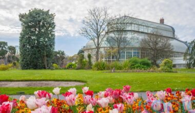 ‘It’s like Noah’s Ark’: One man is banking every native seed in Ireland