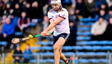 Wexford planning without Rory O’Connor for much of 2026 due to star forward’s travel plans