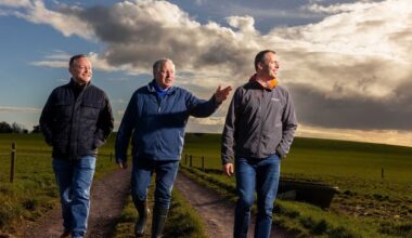 Part of site in Cork set to host Ireland’s largest solar farm subject of waste-management probe