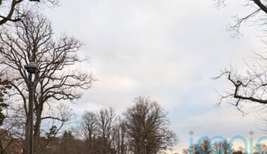 Thousands turn out for Christmas morning parkruns