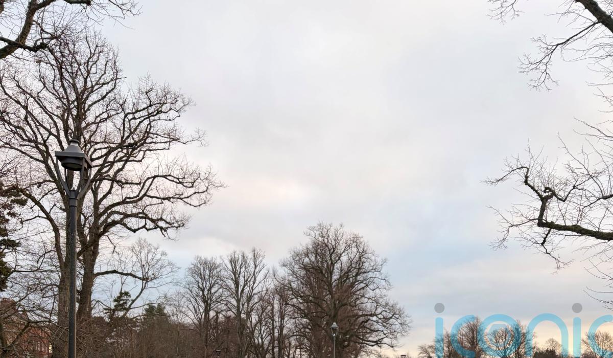 Thousands turn out for Christmas morning parkruns