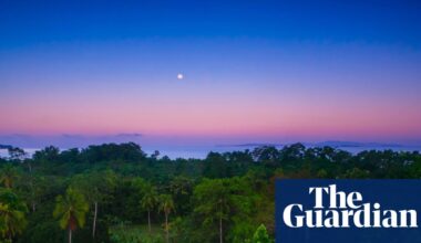 ‘They’re scared of us now’: how co-investment in a tropical forest saw off loggers | Panama
