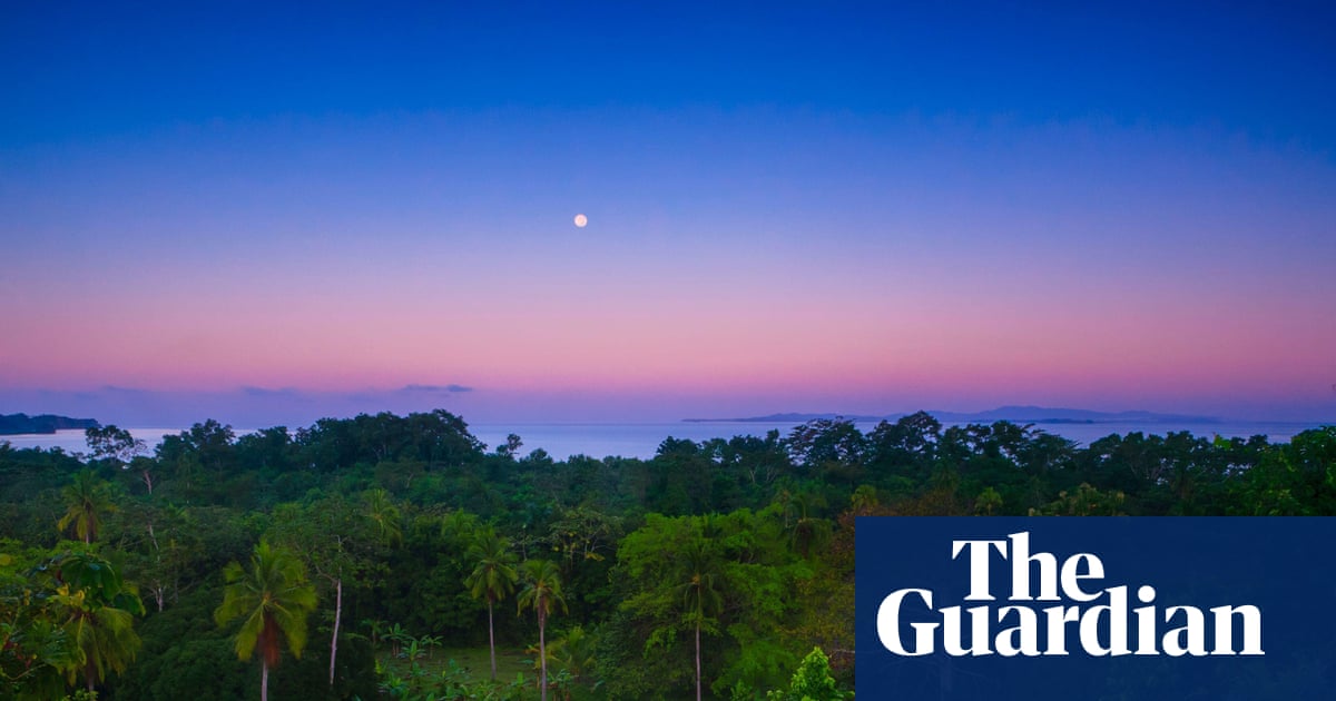 ‘They’re scared of us now’: how co-investment in a tropical forest saw off loggers | Panama