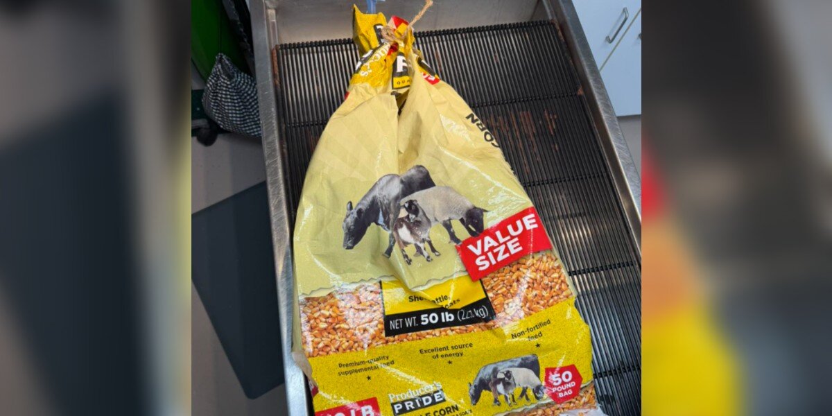 Driver Stops To Pick Up Trash And Finds Feed Bag With Someone Zip-Tied Inside