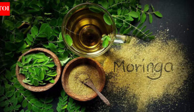 Could chewing moringa leaves really boost your health? |