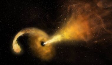 Armchair astronomers sought to hunt for stars being torn apart by black holes