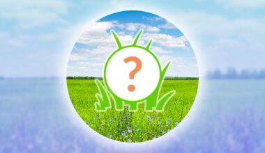 Pokémon GO Spotlight Hour for Tuesday, December 30th, 2025 – Nintendo Wire