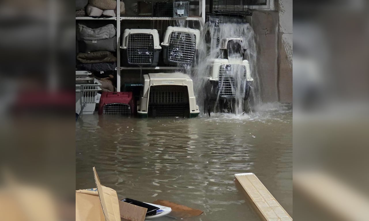 A stack of animal crates is seen in a flooded basement, water pouring over them.