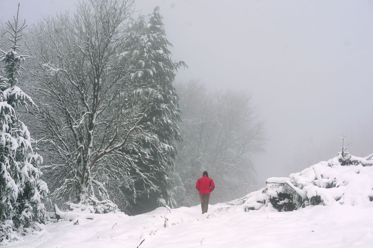 A walker in the snow in Slade Valley, Co. Dublin. 