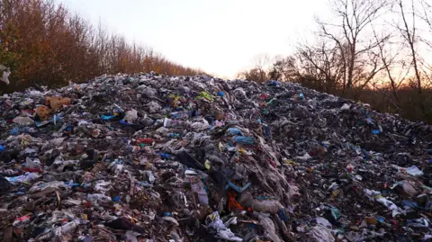 Reuters An enormous mountain of waste takes up most of the image. Behind the dump there are rows of bare, autumnal trees stretching off into the distance. 
