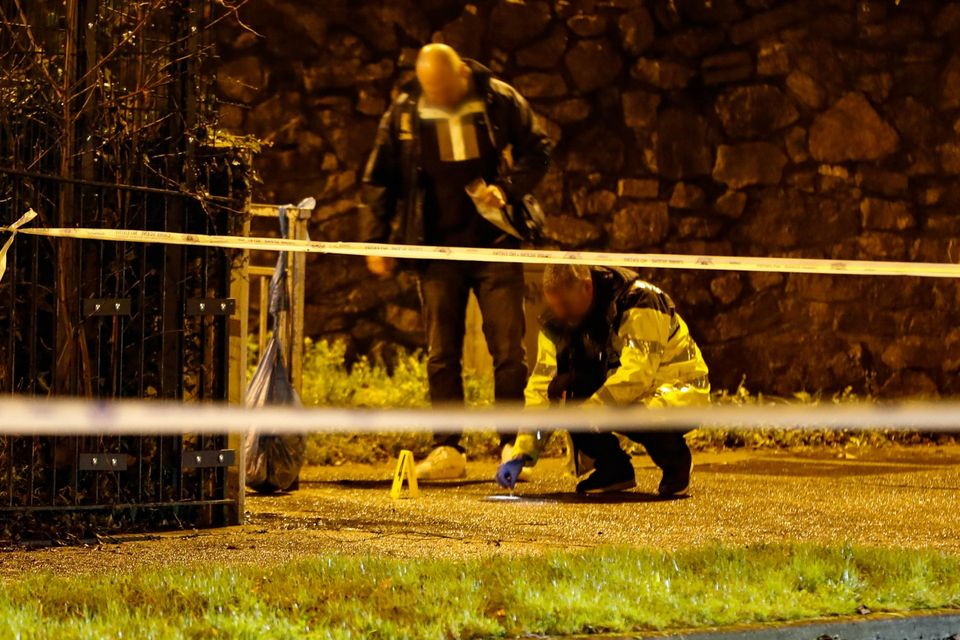 Crime scene investigators examine the scene near the Finglas Bypass in Dublin after a reported assault. Photo: Damien Storan.