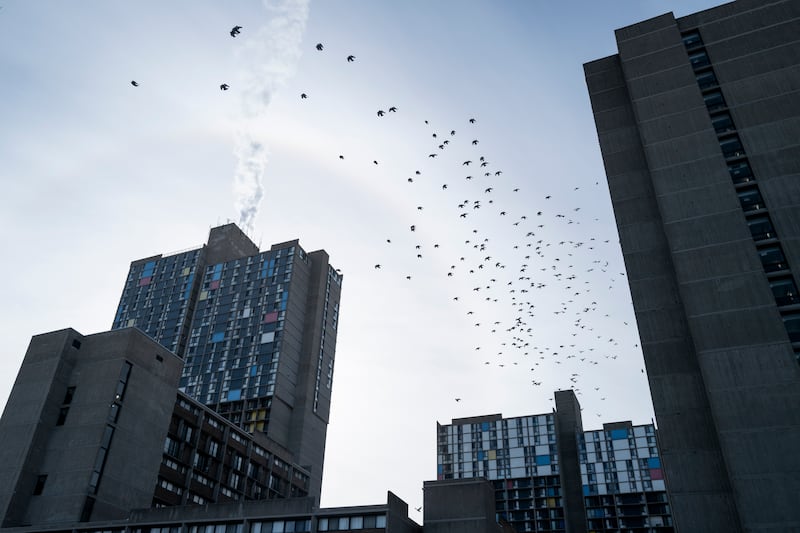 Riverside Plaza, an apartment complex that is home to hundreds of Somali-Americans. Photograph: Stephen Maturen/Getty Images