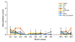 Histologic analysis of brain tissue from K222-Tg516 homozygous mice inoculated with classical scrapie in study of propagation of classical scrapie prions. Comparative analysis shows the vacuolar lesion profile in homozygous K222-Tg516 mice inoculated with different scrapie isolates compared with noninoculated mice. G, gray matter; W, white matter.