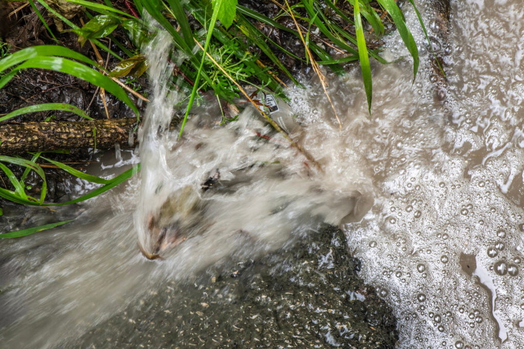Environmental scientist Yvonne Sorovacu has noticed that runoff coming from the Westmoreland landfill often has a whitish appearance, likely because of abandoned mine drainage.