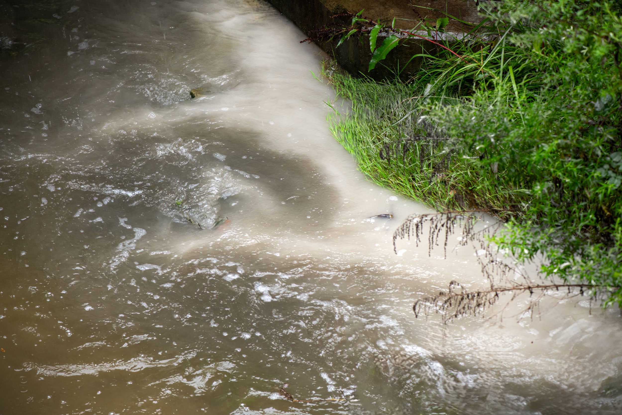 Environmental scientist Yvonne Sorovacu has noticed that runoff coming from the Westmoreland landfill often has a whitish appearance, likely because of abandoned mine drainage.