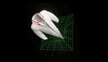 The Role of Doctors Is Changing Forever