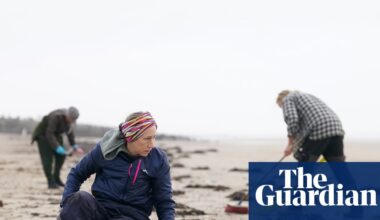 MP calls for ban on ‘biobeads’ at sewage works after devastating Camber Sands spillage | Pollution