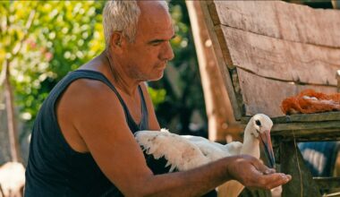 The Tale of Silyan review — David Attenborough meets Ken Loach