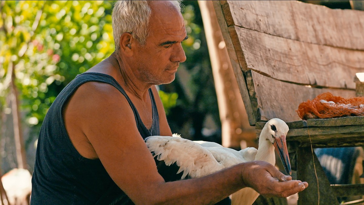 The Tale of Silyan review — David Attenborough meets Ken Loach