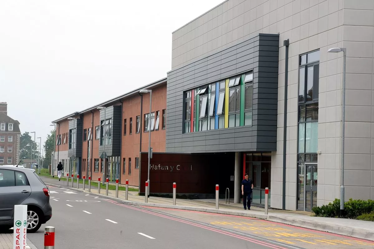 Hafan Y Coed mental health unit at Llandough Hospital, near Cardiff
