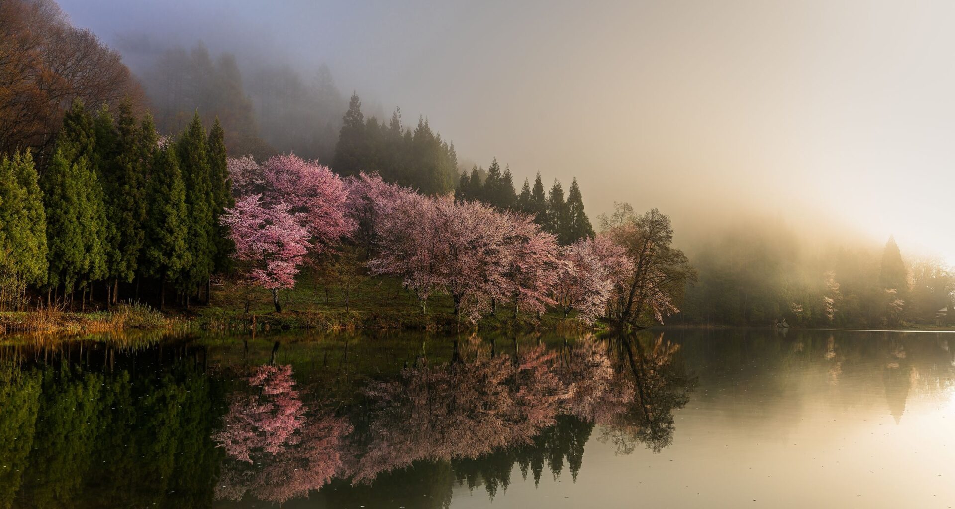 Shot with a Canon EOS R6 Mark II, this breathtaking panorama captures the profound stillness of Japan's countryside