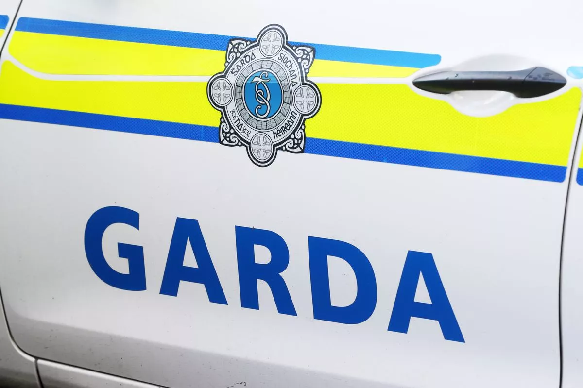 Gardai are now appealing for witnesses to come forward. Photo: Niall Carson/PA Wire