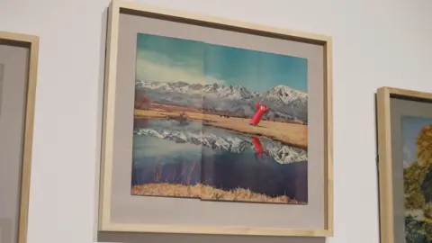 An artwork in a wooden frame hanging on a white wall. It is of a red rocket which has crashed into a grass landscape below a mountain range in front of a lake.