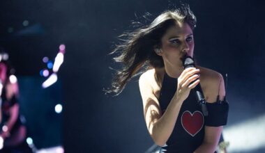 An ultimately superb – if underattended – show – The Irish Times