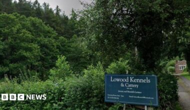 A narrow path surrounded by trees and grassland leads towards the kennels. There is a blue sign on the left side of the path, reading Lowood Kennels & Cattery and a building just visible at the end of the drive. To the left of the picture is dense woodland.