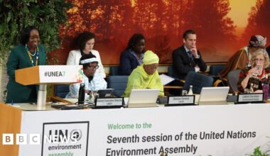 UN environment report 'hijacked' over fossil fuels