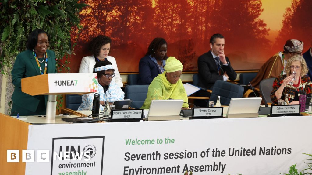 UN environment report 'hijacked' over fossil fuels