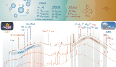 The early Universe with JWST and ALMA