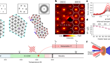 Observation of a hidden charge density wave liquid
