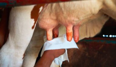 Herd Tasks: Your weekly farming checklist