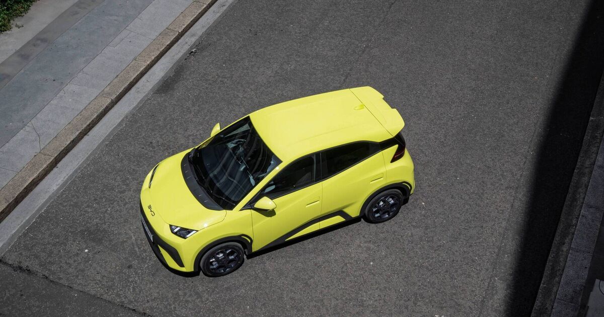 Chinese EV disrupter lands a knockout blow in the city car market