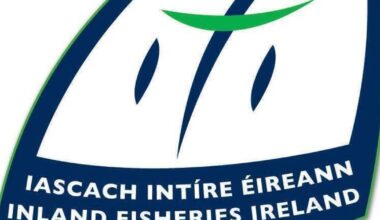 IFI accused of throwing employee 'under the bus' over uninsured car involved in crash