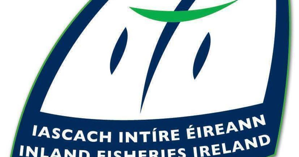 IFI accused of throwing employee 'under the bus' over uninsured car involved in crash