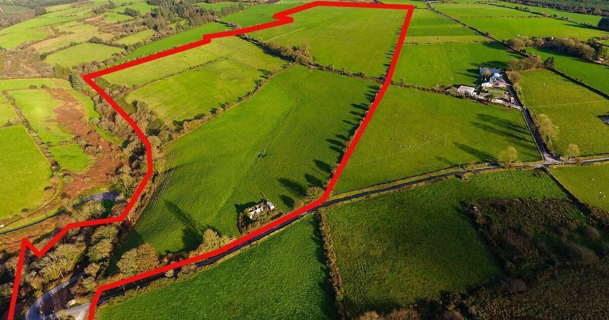 West Waterford holding offers 64 acres of  convenience and quality