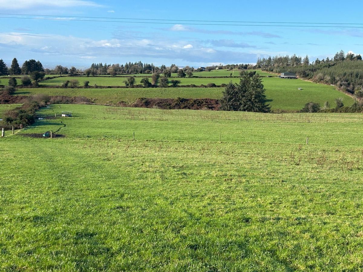 Selling agent Denis Collins of Fermoy-based auctioneers Collins O’Meara said the holding is 'laid out in permanent pasture'.