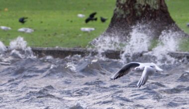 Storm Bram leaves 54,000 without power as Met Éireann issues fresh warnings 
