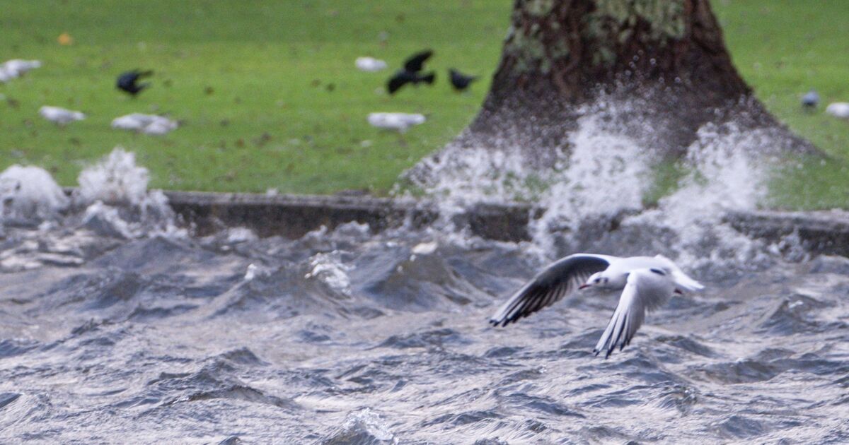 Storm Bram leaves 54,000 without power as Met Éireann issues fresh warnings 