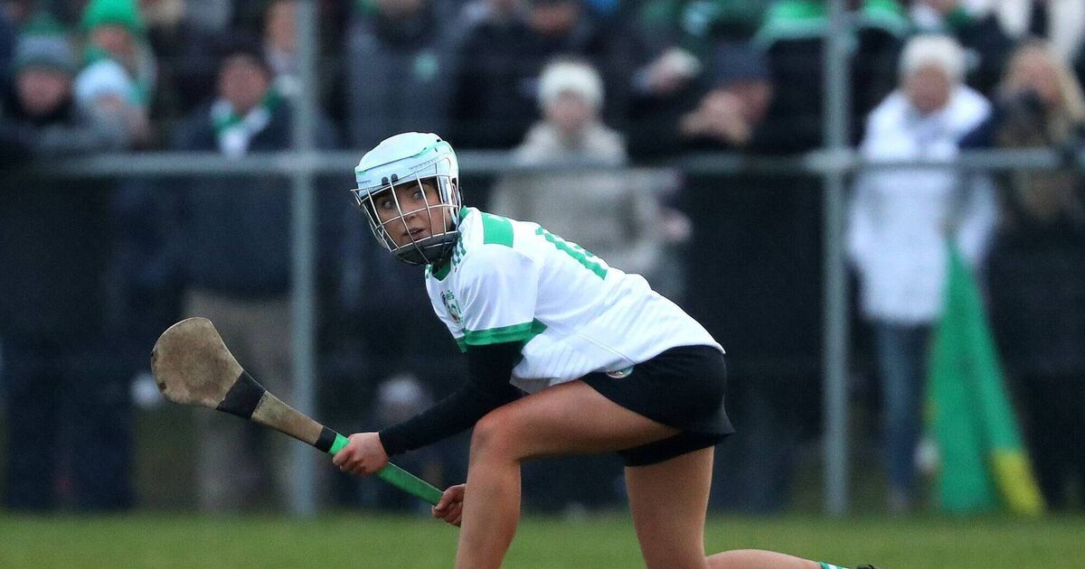 All-Ireland final joy for siblings who encapsulate the spirit of camogie community 