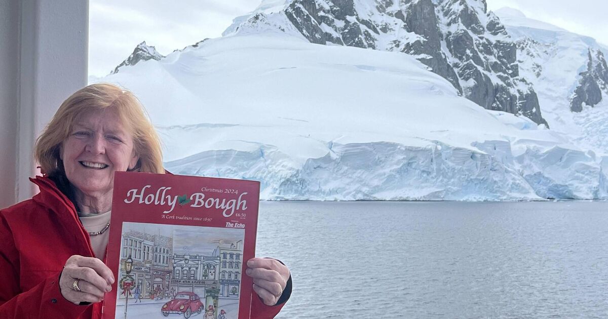 Pictures: Holly Bough challenge continues....