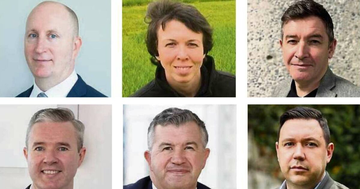 People starting new jobs in Ireland