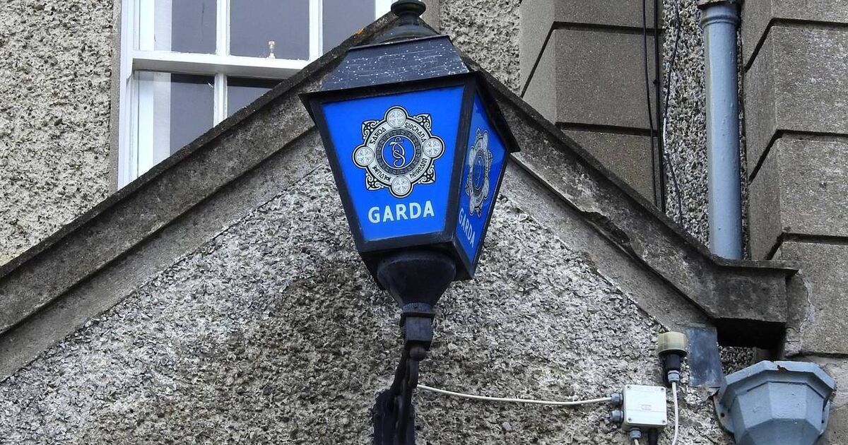 Man, 30s, dies after car found in Cork's River Bride