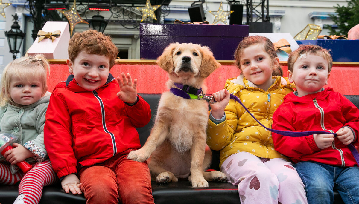 From left: Isobel Wilson, from Arklow; Hugo Dalton, from Sandyford; Rowan Wilson, from Arklow; and Evander Dalton, from Sandyford, with golden retriever Zena at the Mansion House in Dublin. Picture: Gareth Chaney