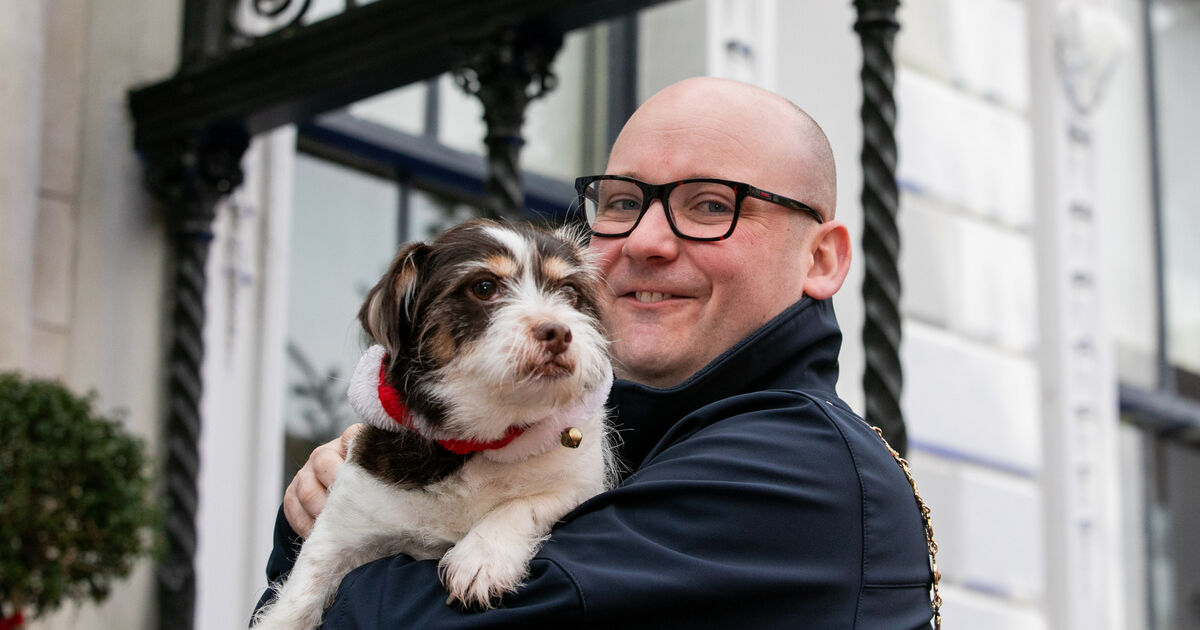 'Breed and greed culture' making Ireland the puppy farm capital of Europe, advocacy group claims 