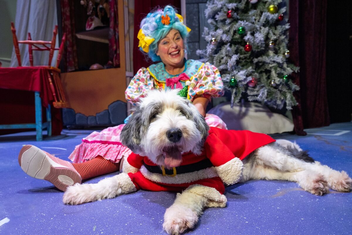 Fionula Linehan: 'When you’re at home being a mother, it’s very fulfilling and busy, but I certainly wanted something fulfilling outside the home too.' Picture: Chani Anderson