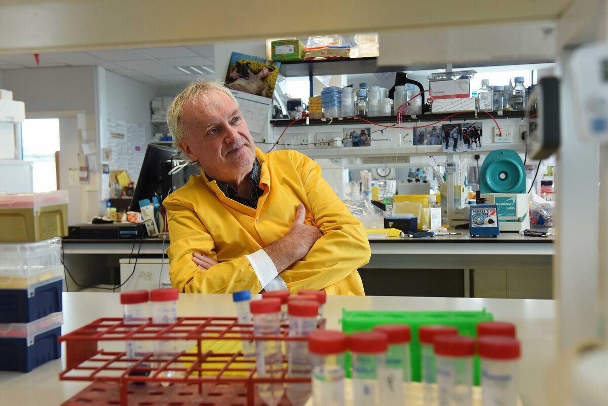  Prof. Luke O'Neill in his office in Trinity College Dublin. Photograph: Moya Nolan